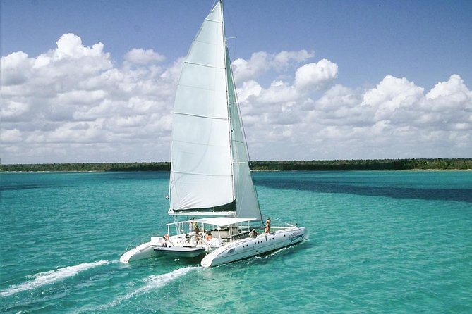Saona Island Excursion by Catamaran and Speedboat - Key things to know before you go