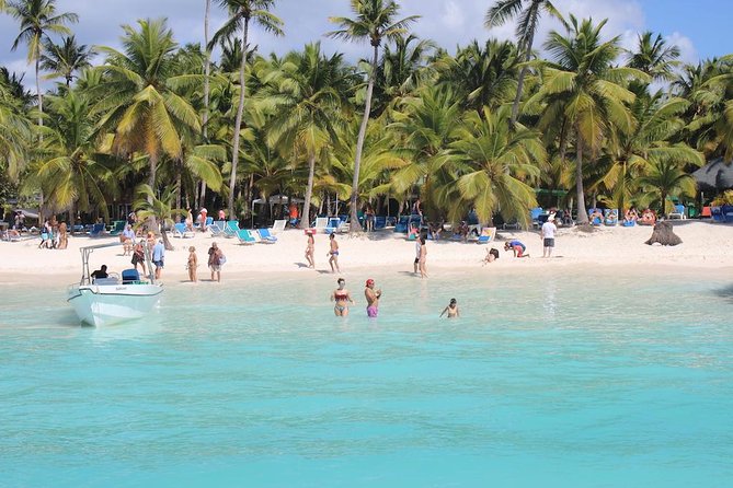 Saona Island Excursion by Catamaran and Speedboat - What You’re Paying $95 For (and What That Includes)