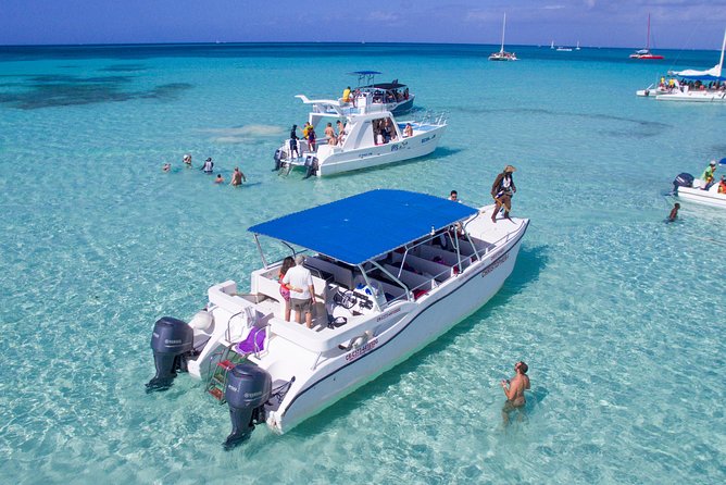 Saona Island Excursion by Catamaran and Speedboat - Arriving at Saona Island: Beach Time, Loungers, and Water Fun