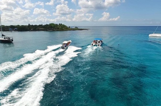 Saona Island Excursion by Catamaran and Speedboat - The BBQ Buffet Lunch and Drinks: Good Value, Variable Experience