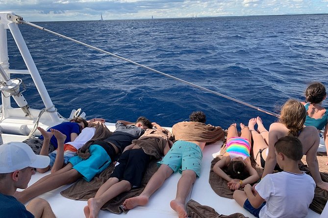 Saona Island Excursion by Catamaran and Speedboat (Full Day) - Punta Cana to Saona: why this day-trip works