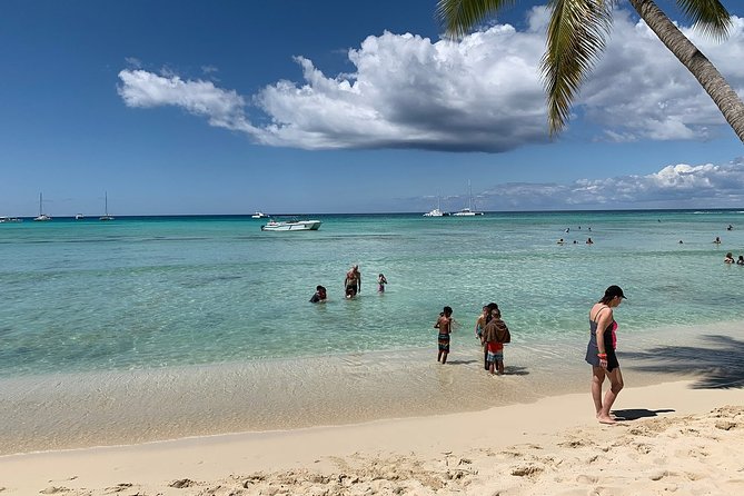 Saona Island Excursion by Catamaran and Speedboat (Full Day) - Saona Island time: beach, water, and a no-stress schedule