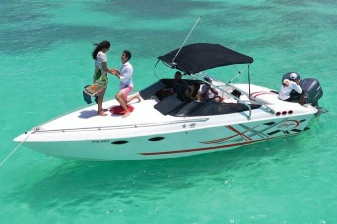 Saona island - Private Tour with a Luxury Speed Boat - The day at a glance: easy pickup, guided snorkeling, real payoff