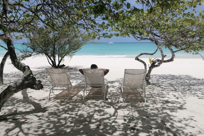 Saona island - Private Tour with a Luxury Speed Boat - Saona Island beach time (about 2 hours): choose your own rhythm