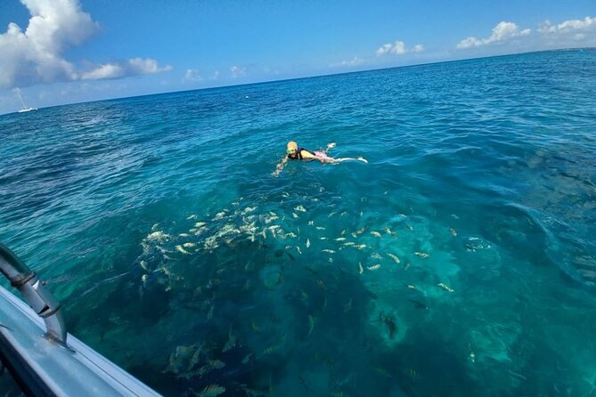 Saona island - Private Tour with a Luxury Speed Boat - Las Palmillas natural pools (about 1 hour): starfish in shallow water
