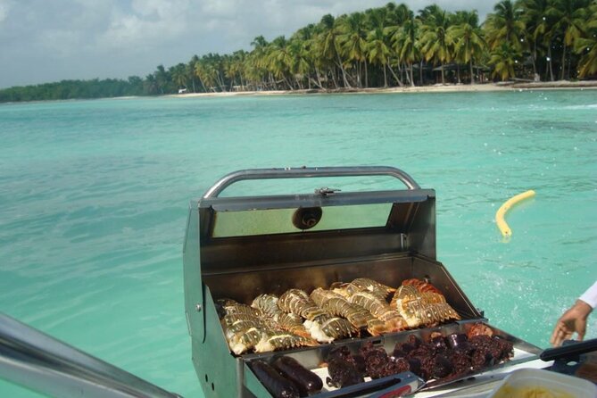 Saona island - Private Tour with a Luxury Speed Boat - Food and drinks: snacks and alcohol are included, lunch is the question