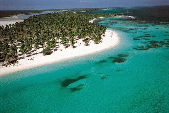 Saona Vip speedboat - Price and Value: What $130 Includes (and What It Means)