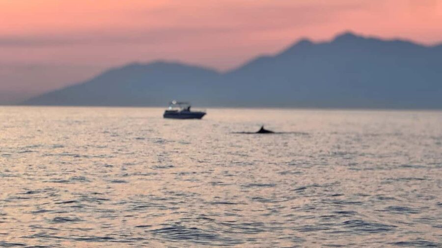 Sarandë Sea Safari: Speedboat to Hidden Coves & Wild Beaches - Shared vs Private Speedboat: Picking Your Best Day Style