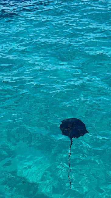 Sarandë Sea Safari: Speedboat to Hidden Coves & Wild Beaches - The Time Window: 150 Minutes to 5 Hours and How It Feels Day-Long