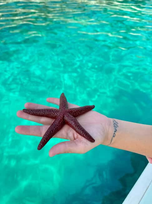 Sarandë Sea Safari: Speedboat to Hidden Coves & Wild Beaches - Kepi i Qefalit and Kakoma Bay: Quick Stops That Deliver Real Water Time