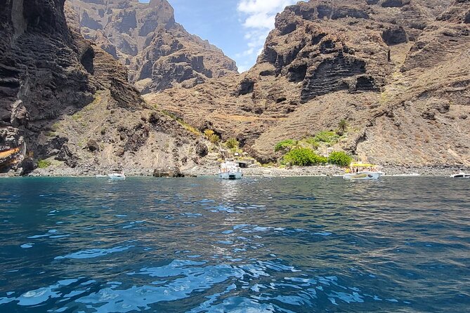 SEA SAFARI Dolphins, Whales, 3h speedboat DISCOVERY-TOUR - Getting To Sea Safari and Puerto Colón Fast