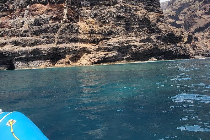 SEA SAFARI Dolphins, Whales, 3h speedboat DISCOVERY-TOUR - Snorkeling Gear Included and the BladeFish Try-It-Underwater Moment