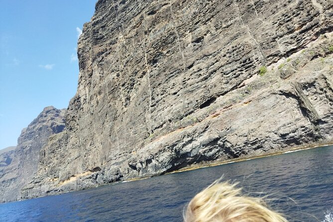 SEA SAFARI Dolphins, Whales, 3h speedboat DISCOVERY-TOUR - Food, Drinks, and Small-Boat Comfort on a Maximum 11-Person Trip