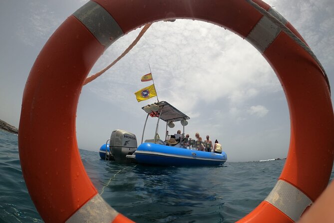 SEA SAFARI, Dolphins, Whales, snorkeling, snack and drink, 2 h speedboat - Guide and Captain Energy: Marco’s Host Style