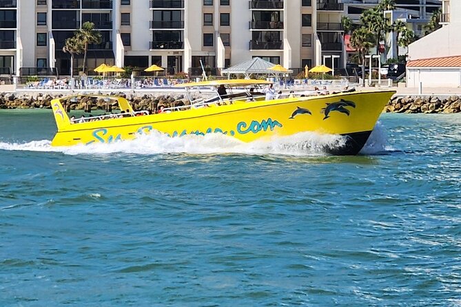 Sea Screamer Clearwater's Only Speed Boat Dolphin Watching - Key highlights you’ll actually care about