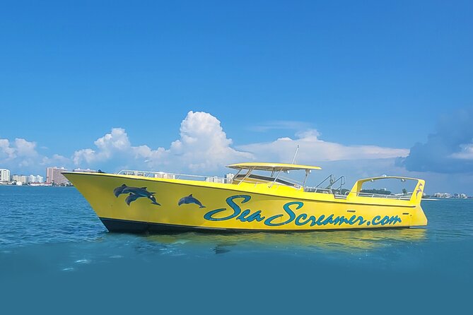 Sea Screamer Clearwater's Only Speed Boat Dolphin Watching - Guaranteed dolphins on a speed boat that actually reaches the action