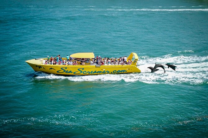 Sea Screamer Clearwater's Only Speed Boat Dolphin Watching - Captain Scott and Tammy set the vibe (and they stay focused)