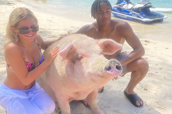 Self Drive Speedboat and Swim with the Pigs - Pig Island Highlights: Feeding, Photos, and Baby Pig Moments