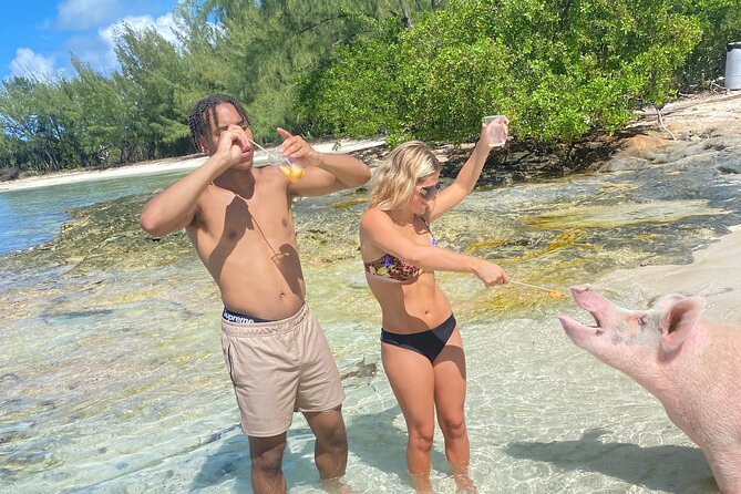 Self Drive Speedboat and Swim with the Pigs - Who Should Book This Speedboat and Pig Swim—and Who Might Not