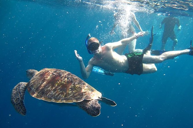 Similan Islands Day Trip by Speedboat From Phuket - Key things to know before you go