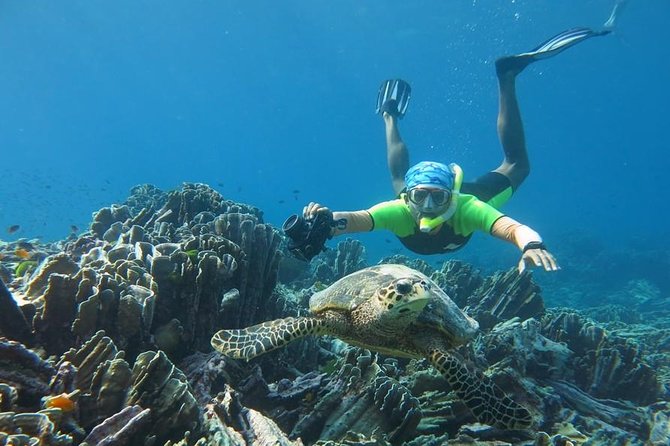 Similan Islands Day Trip by Speedboat From Phuket - Meals on a Speedboat Day: What the Food Plan Looks Like