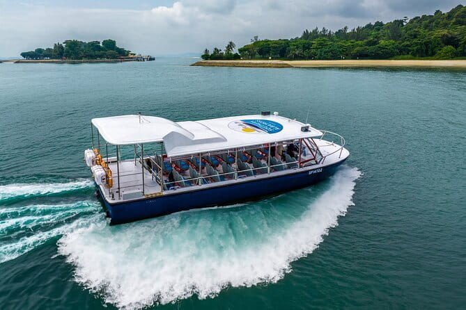 Singapore - Albatross Speedboat Adventures Cruising in Sentosa - Key things to know before you go