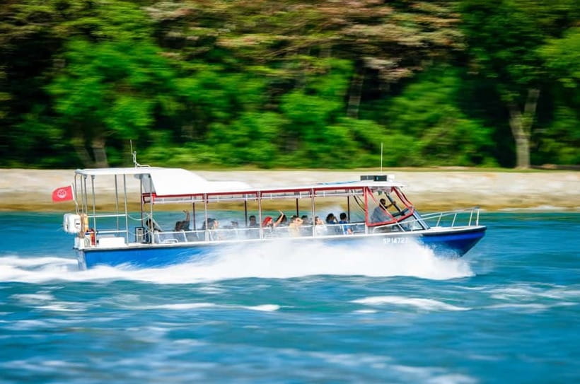 Singapore: Albatross Speedboat Adventures Ticket - Skyline From the Water: The Views You’ll Actually Remember