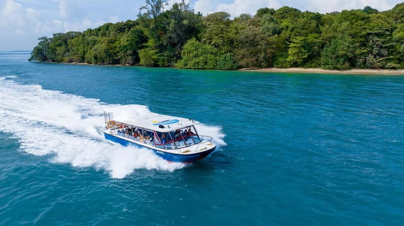 Singapore: Albatross Speedboat Adventures Ticket - The Boat’s Motion: Exciting Turns With a Real Chance of Getting Wobbly