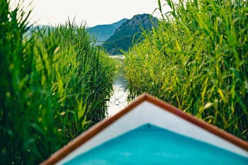 Skadar Lake Virpazar : Speed Boat Special ! - Key highlights worth your attention