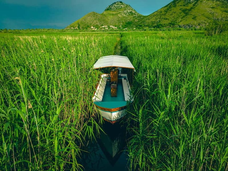 Skadar Lake Virpazar : Speed Boat Special ! - The short swim break: cooling off near monastery views