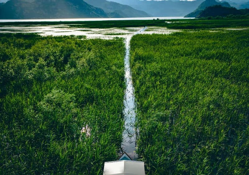 Skadar Lake Virpazar : Speed Boat Special ! - What’s included (and how that affects value)