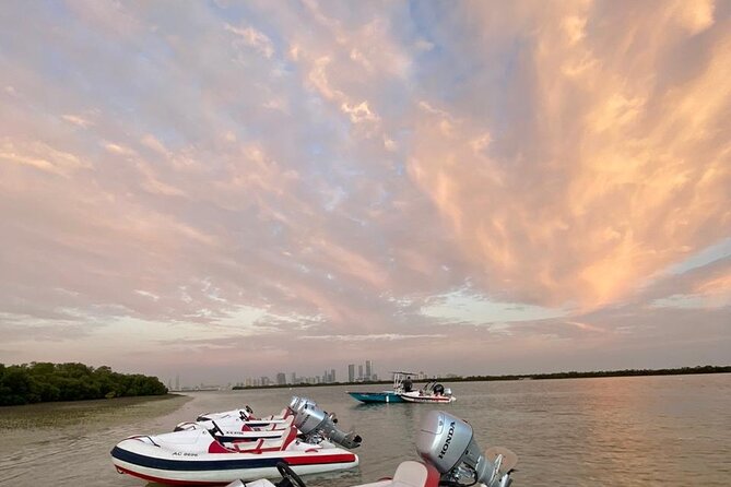 Small-Group Self-Drive Speedboat Tour in Yas Island Mangroves - Al Raha Creek: Modern Abu Dhabi From the Water