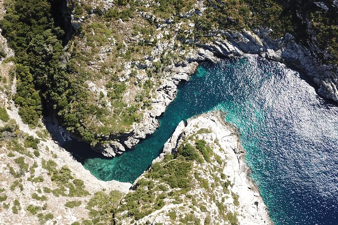 Small Group Speedboat Adventure Trip to Grama Bay - Included Drinks, Snorkel Gear, and Snacks: The Real Value at This Price