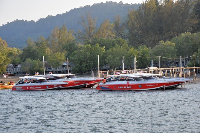 Snorkel Tour to Phi Phi Islands by Speed Boat from Koh Lanta - Your day plan from Saladan Pier: Viking Cave to Shark Point