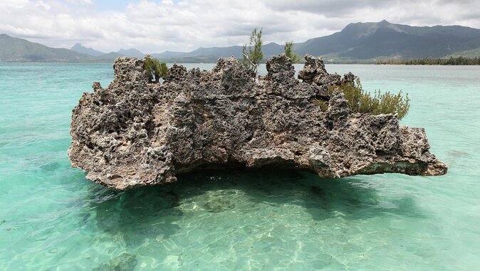 Snorkel with Dolphins, Lunch on Benitiers island, Speedboat - Key highlights at a glance