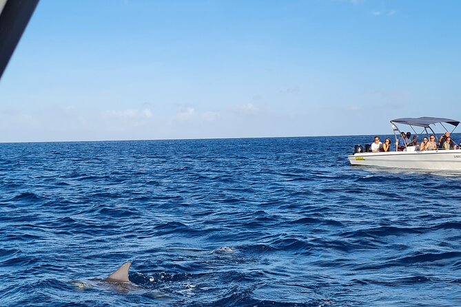 Snorkel with Dolphins, Lunch on Benitiers island, Speedboat - Crystal Rock Time: A Fun Detour That Changes the Water Mood