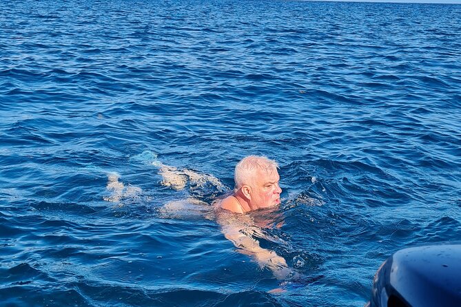 Snorkel with Dolphins, Lunch on Benitiers island, Speedboat - Price and Logistics: Does $64.79 Really Make Sense?