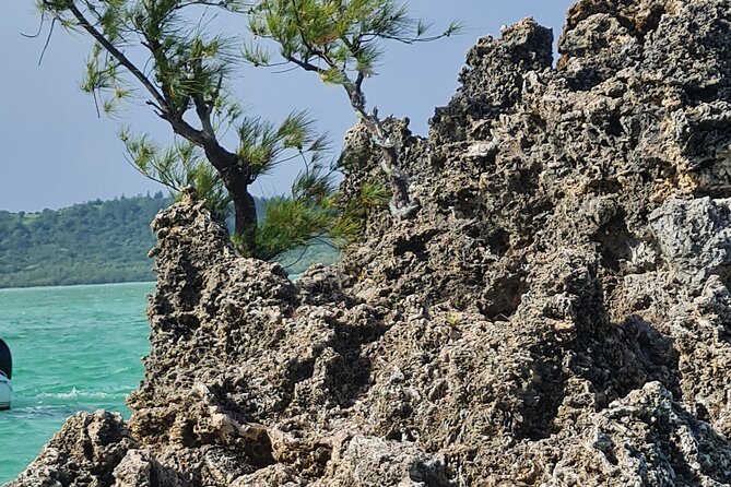 Snorkel with Dolphins, Lunch on Benitiers island, Speedboat - Who This Trip Fits Best (and Who Might Feel Worn Out)