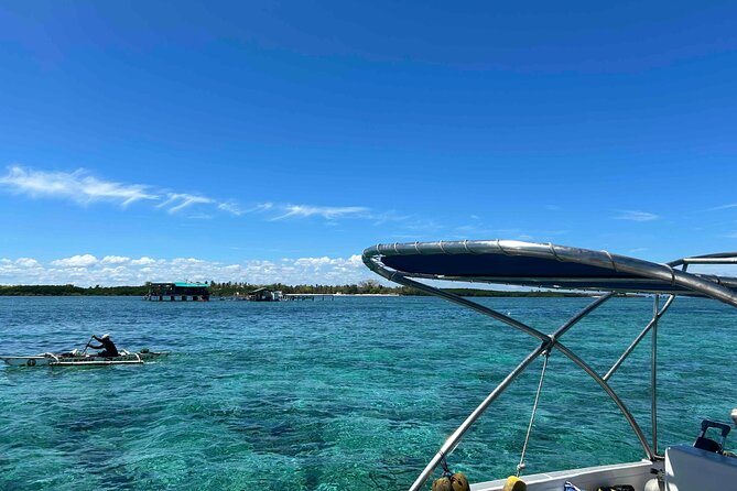 Snorkeling at San Vicente with speed boat - Marine Life Encounters: What to Look For (Without Overthinking It)