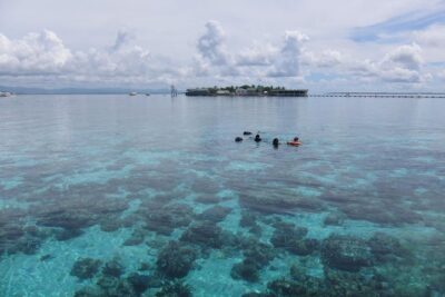 Snorkeling at San Vicente with speed boat - What You’ll See Underwater at the Marine Sanctuary
