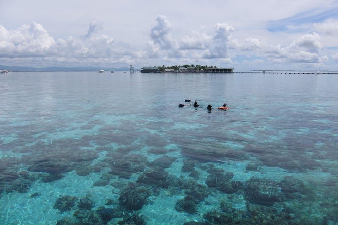 Snorkeling at San Vicente with speed boat - What You’ll See Underwater at the Marine Sanctuary