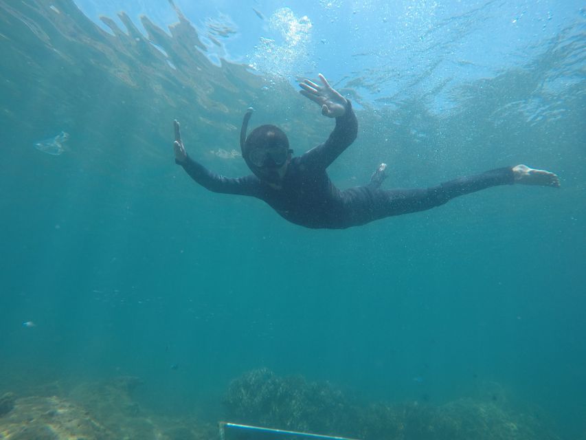 Snorkeling Cham Island: Snorkeling Tour by Speed Boat - Should You Book This Snorkeling Cham Island Speed-Boat Tour?