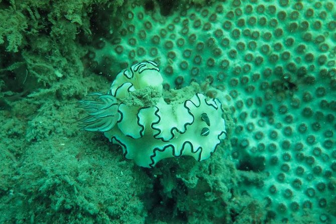 Snorkeling Tour to 4 Islands(Emerald Cave) From Koh Lanta by Speedboat - Price and value: what you really pay for this Koh Lanta day