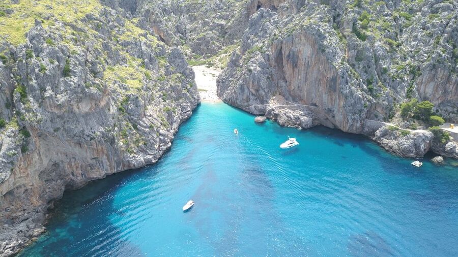 Soller: Sa Calobra & Cala Tuent Speedboat Tour - Price and value: why $58 can work for a short Mallorca day
