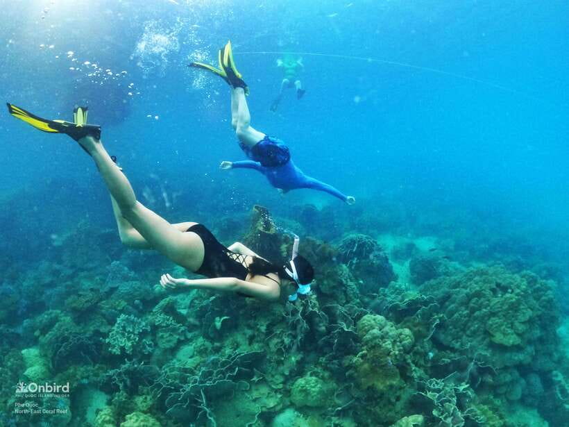 South Phu Quoc: Pro Snorkeling Tour by Speedboat - Key points at a glance