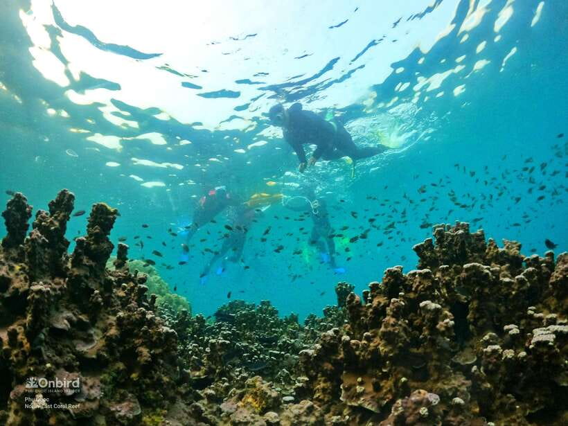 South Phu Quoc: Pro Snorkeling Tour by Speedboat - Equipment that reduces hassle: anti-fog masks, fins, and fit