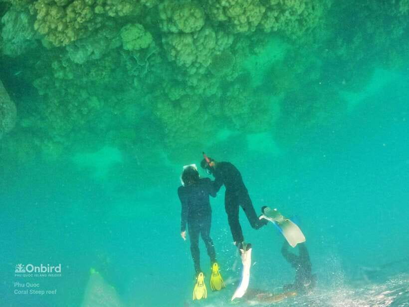 South Phu Quoc: Pro Snorkeling Tour by Speedboat - The island break: fruit, juice, and an easy end to the day