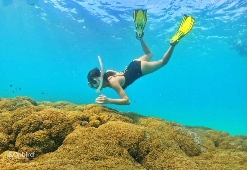 South Phu Quoc: Pro Snorkeling Tour by Speedboat - Who this snorkel tour is best for (and who should skip it)