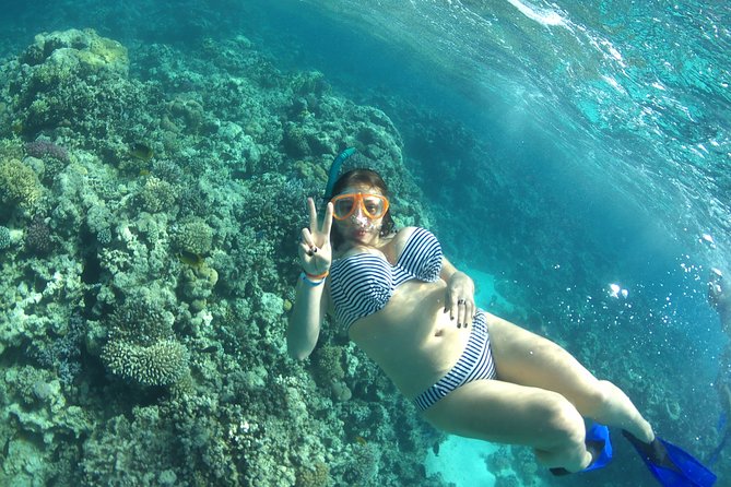 Speed Boat Abo Munkar Island & Water Sport Semi Private-Hurghada - Hotel pickup and transfers that remove stress