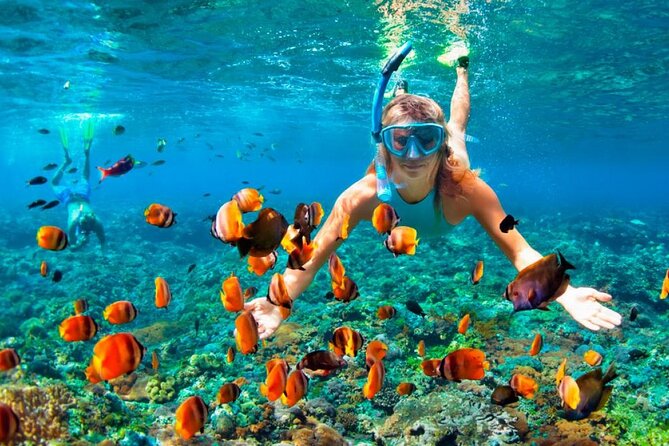 Speed Boat Adventure In Punta Cana - Speedboat + Snorkel for $75: Why This Combo Feels Like Good Value